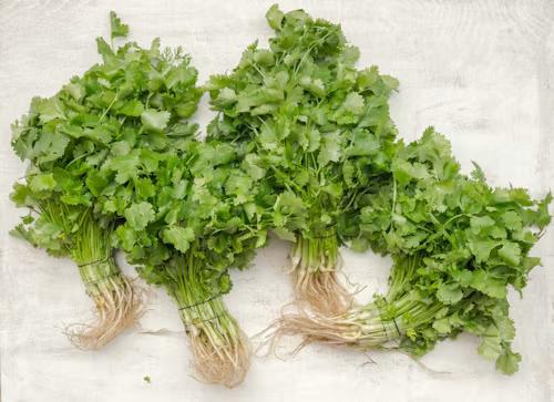 FRESH CORIANDER - BUNCH (ON DEMAND)