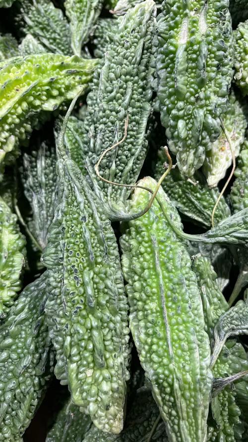 KARELA 250G (ON DEMAND)