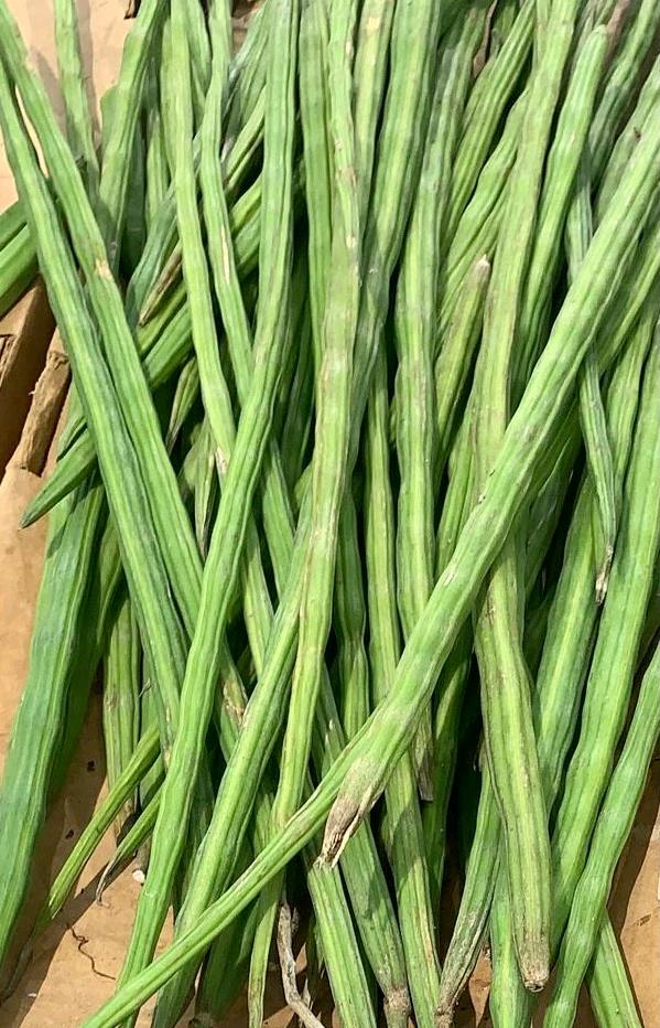 MORINGA - DRUMSTICKS 200G (ON DEMAND)