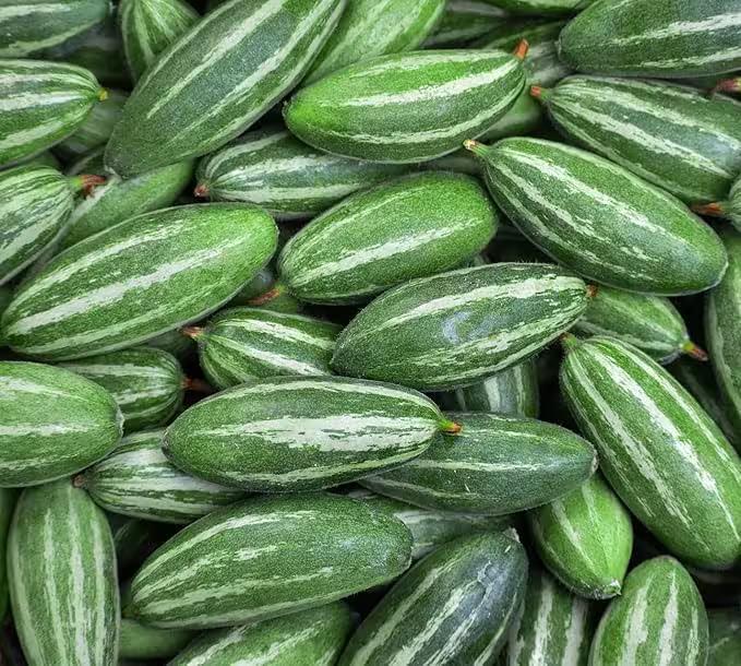 PARWAL - POINTED GOURD (ON DEMAND)